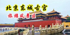 日韩999中国北京-东城古宫旅游风景区